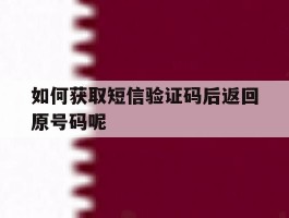 如何获取短信验证码后返回原号码呢