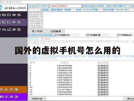 国外的虚拟手机号怎么用的