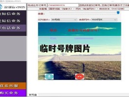 临时号牌图片