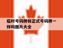 临时号码牌和正式号码牌一样吗图片大全