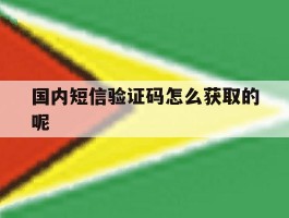 国内短信验证码怎么获取的呢