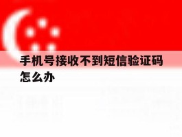 手机号接收不到短信验证码怎么办