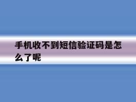 手机收不到短信验证码是怎么了呢
