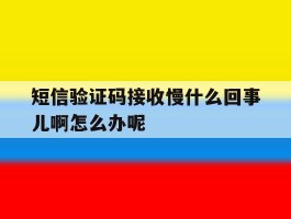 关于短信验证码接收慢什么回事儿啊怎么办呢的信息