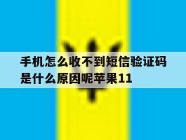 手机怎么收不到短信验证码是什么原因呢苹果11的简单介绍
