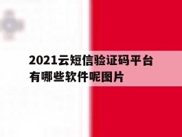 2021云短信验证码平台有哪些软件呢图片