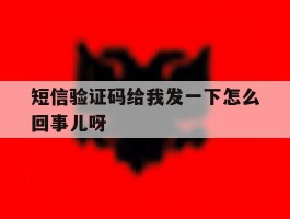 短信验证码给我发一下怎么回事儿呀
