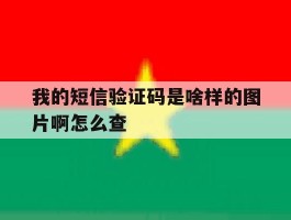 我的短信验证码是啥样的图片啊怎么查