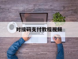 对接码支付教程视频