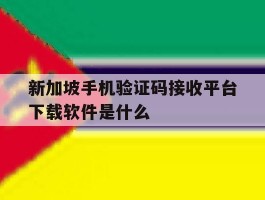新加坡手机验证码接收平台下载软件是什么