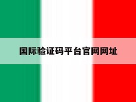 国际验证码平台官网网址