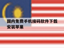 国内免费手机接码软件下载安装苹果