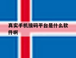 真实手机接码平台是什么软件啊