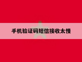 手机验证码短信接收太慢