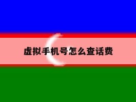 虚拟手机号怎么查话费