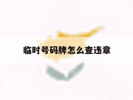 临时号码牌怎么查违章