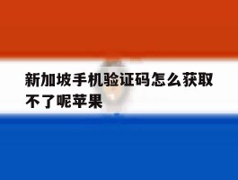 新加坡手机验证码怎么获取不了呢苹果