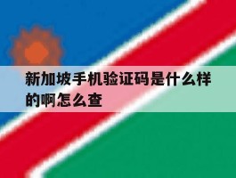 新加坡手机验证码是什么样的啊怎么查