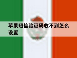 苹果短信验证码收不到怎么设置