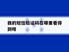 我的短信验证码在哪里看得到呀