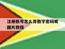注册账号怎么弄数字密码呢图片教程