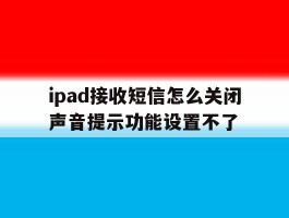 关于ipad接收短信怎么关闭声音提示功能设置不了的信息