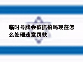 临时号牌会被抓拍吗现在怎么处理违章罚款
