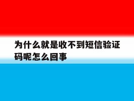 为什么就是收不到短信验证码呢怎么回事
