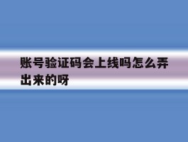 账号验证码会上线吗怎么弄出来的呀