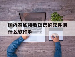 国内在线接收短信的软件叫什么软件啊