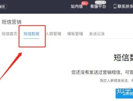 包含拼多多接码短信平台在哪里看记录查询呢的词条