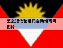 怎么短信验证码自动填写呢图片
