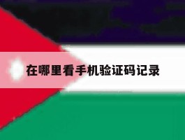 在哪里看手机验证码记录