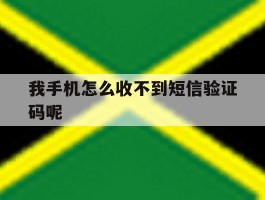 我手机怎么收不到短信验证码呢