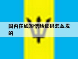 国内在线短信验证码怎么发的