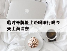 临时号牌能上路吗限行吗今天上海浦东