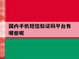 国内手机短信验证码平台有哪些呢