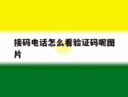 接码电话怎么看验证码呢图片