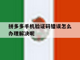 拼多多手机验证码错误怎么办理解决呢