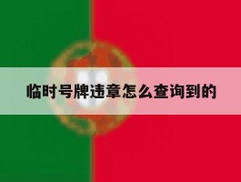 临时号牌违章怎么查询到的