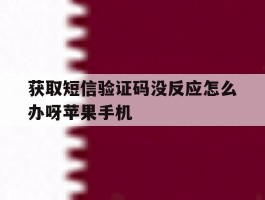 包含获取短信验证码没反应怎么办呀苹果手机的词条