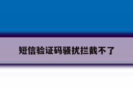 短信验证码骚扰拦截不了