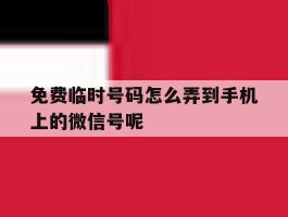 关于免费临时号码怎么弄到手机上的微信号呢的信息