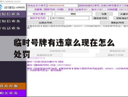 临时号牌有违章么现在怎么处罚