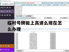 临时号牌能上高速么现在怎么办理