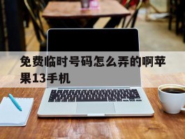 免费临时号码怎么弄的啊苹果13手机