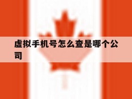虚拟手机号怎么查是哪个公司