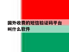 关于国外收费的短信验证码平台叫什么软件的信息