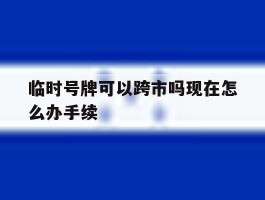 临时号牌可以跨市吗现在怎么办手续