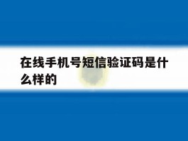 在线手机号短信验证码是什么样的